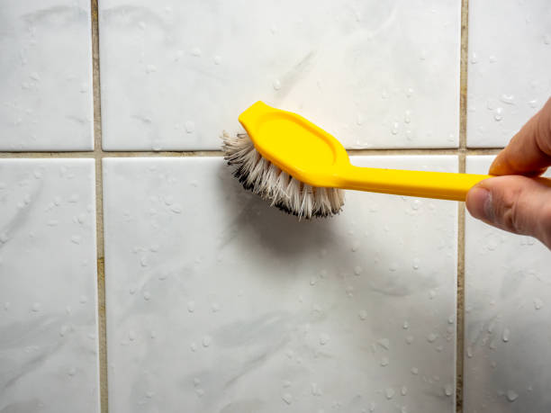 Best Mold Removal Near Me  in Circle D Kc Estates, TX