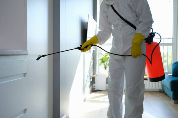 Best Mold Damage Repair  in Circle D Kc Estates, TX