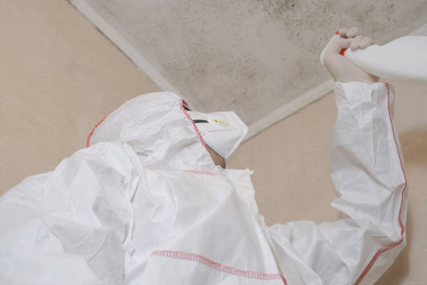 Best Toxic Mold Removal  in Circle D Kc Estates, TX