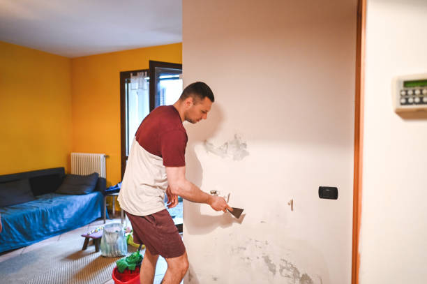 Best Crawl Space Mold Removal  in Circle D Kc Estates, TX